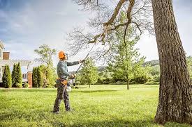 Reliable Maugansville, MD Tree Services Solutions